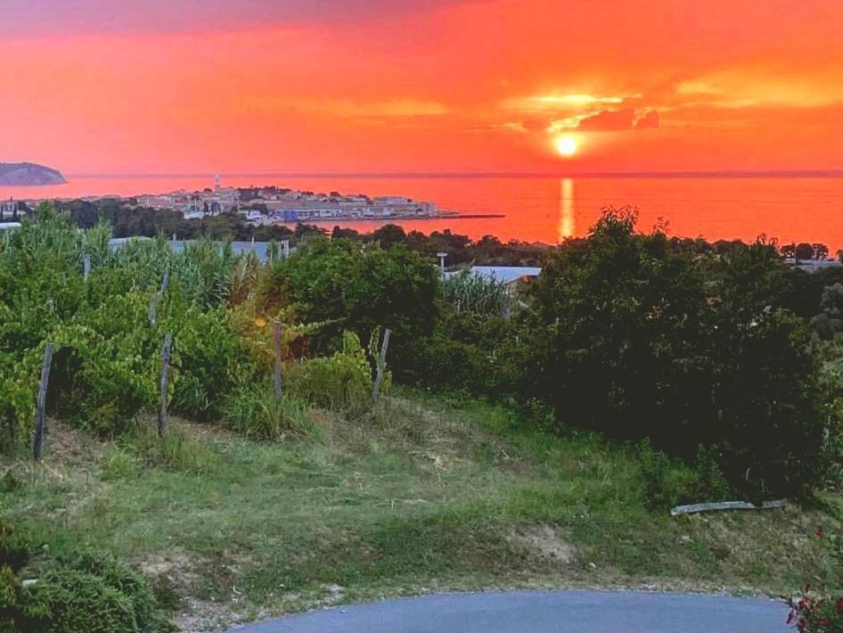 Winehouse Dolcevista Izola Apartment Екстериор снимка